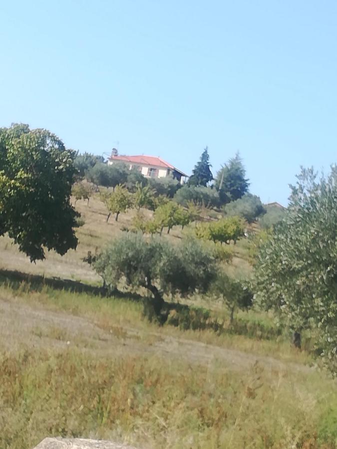 Casa Das Argolas Маседу-де-Кавалейруш Екстер'єр фото